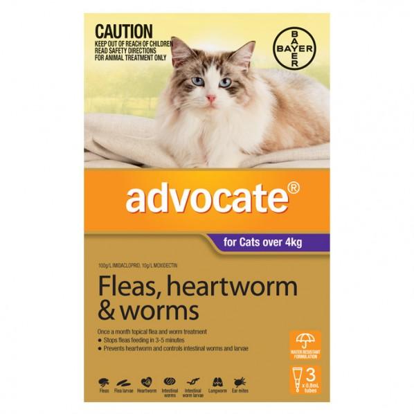 Advocate Purple For Large Cat - PetBuy