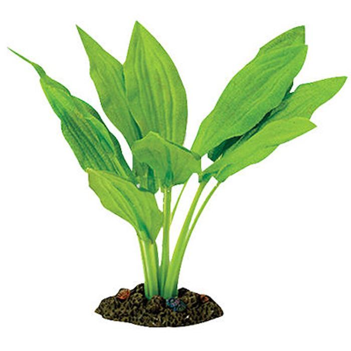 Aqua One Broad Leaf Amazon Silk Plant - PetBuy