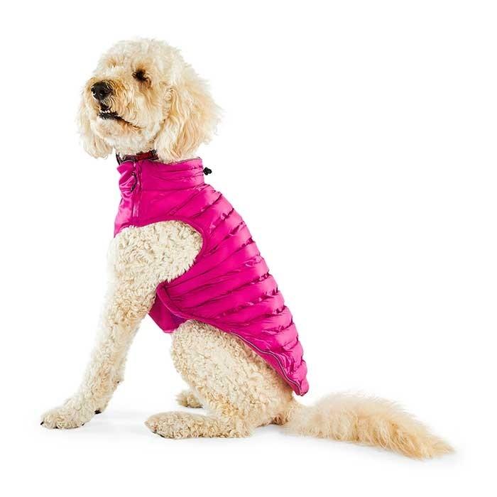 Kong Parachute Dog Puffer Purple - PetBuy