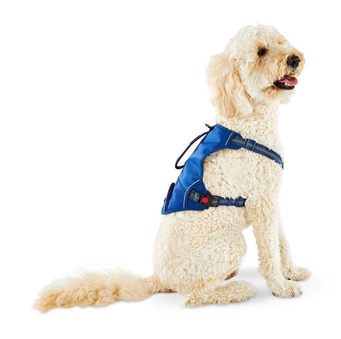 Kong Reflective Utility Dog Harness Blue - PetBuy