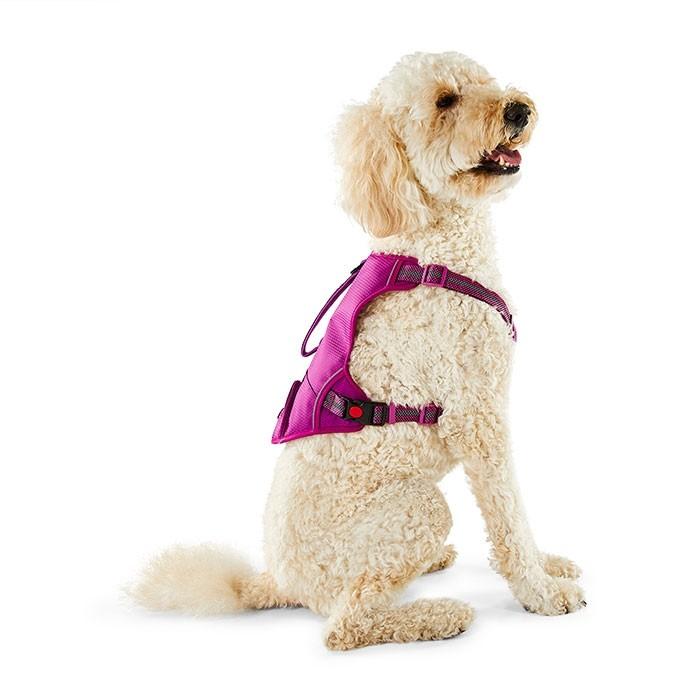 Kong Reflective Utility Dog Harness Purple - PetBuy