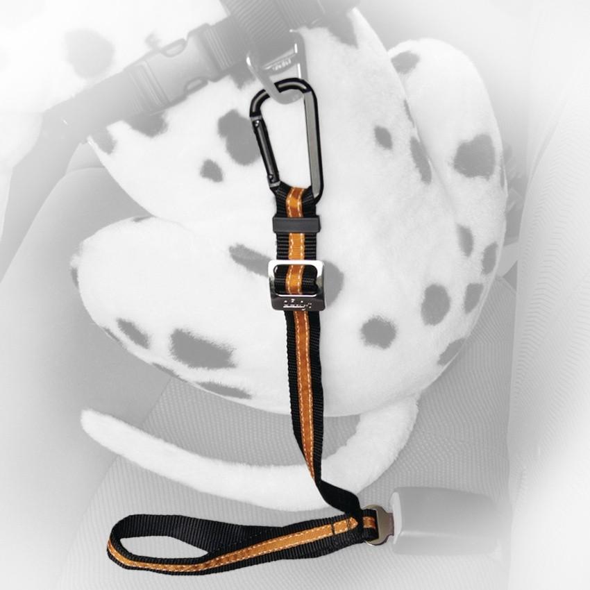 Kurgo Direct to Seatbelt Tether - Black/Orange - PetBuy