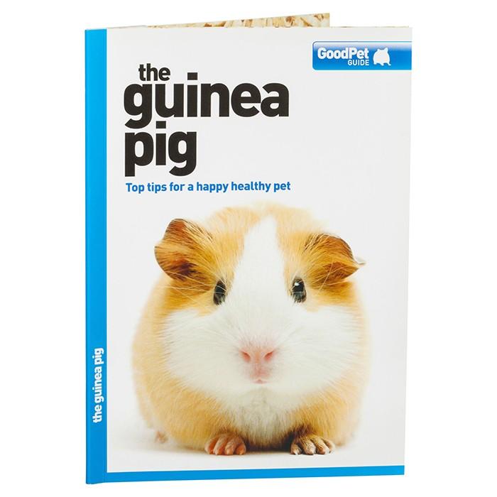 Magnet & Steel GoodPet Guide Guinea Pig - PetBuy