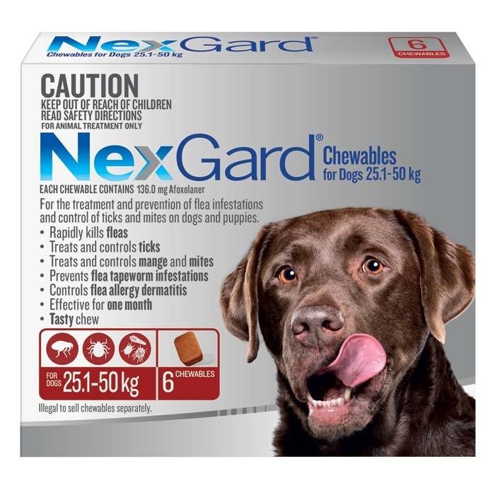 Nexgard For X Large Dog 25.1 - 50kg - PetBuy