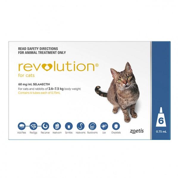 Revolution Blue For Cats 2.6 - 7.5kg - PetBuy