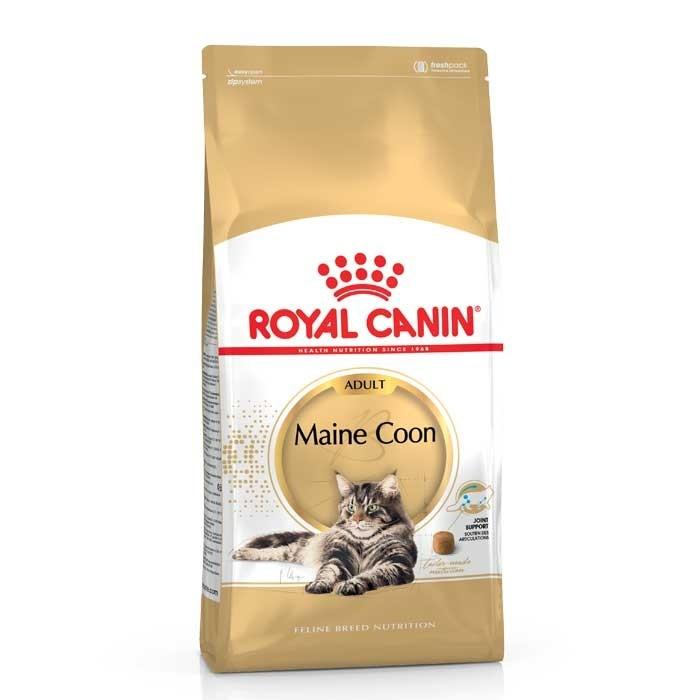 Royal Canin Maine Coon Adult Cat Food 10kg - PetBuy