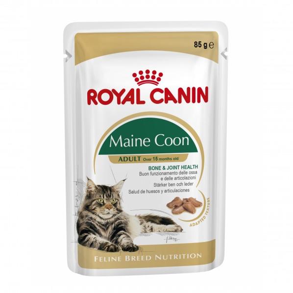 Royal Canin Maine Coon Adult Cat Food 85g x12 - PetBuy