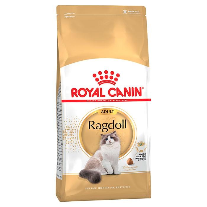 Royal Canin Ragdoll Adult Cat Food 10kg - PetBuy